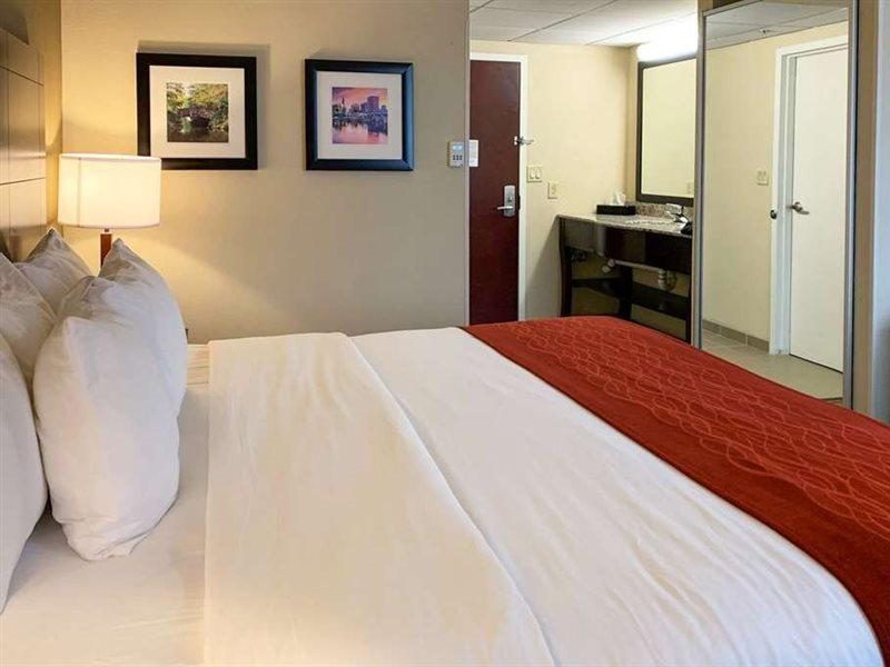 Comfort Inn & Suites East Hartford - Hartford Exteriör bild